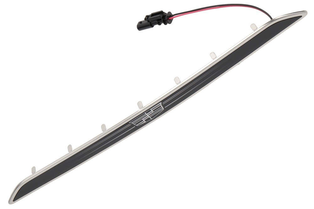 GM Genuine Parts Front Passenger Side Door Sill Plate Lamp