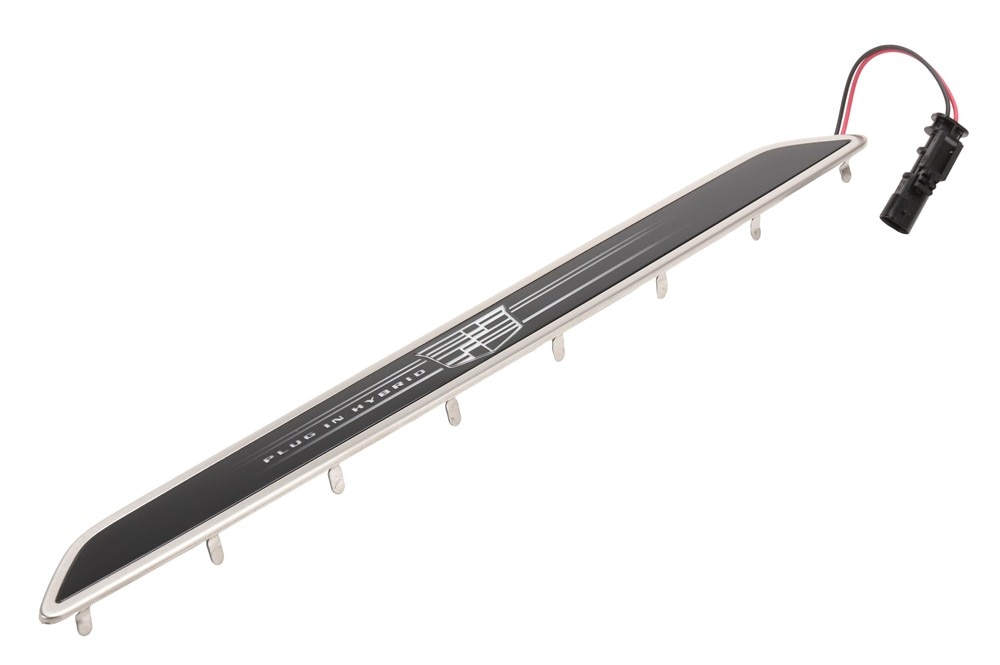 GM Genuine Parts Passenger Side Front Door Sill Plate Illumination Lamp