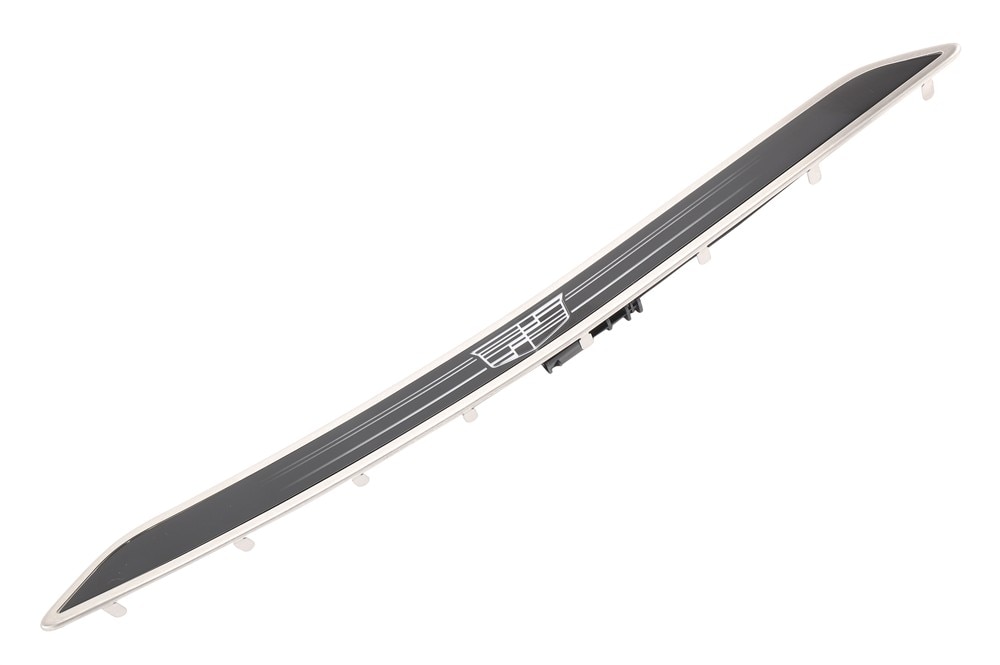 GM Genuine Parts Rear Door Sill Plate Illumination Lamp