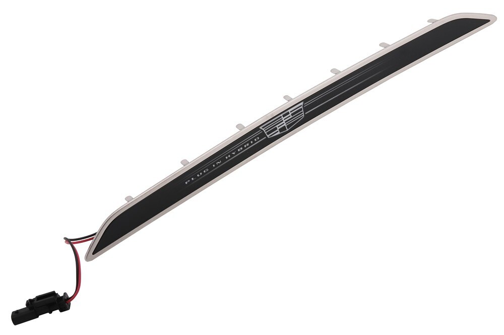 GM Genuine Parts Rear Driver Side Door Sill Plate Illumination Lamp