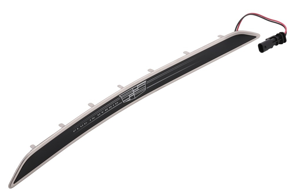 GM Genuine Parts Rear Passenger Side Door Sill Plate Illumination Lamp