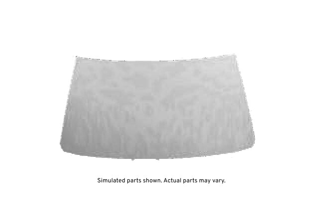 GM Genuine Parts Windshield