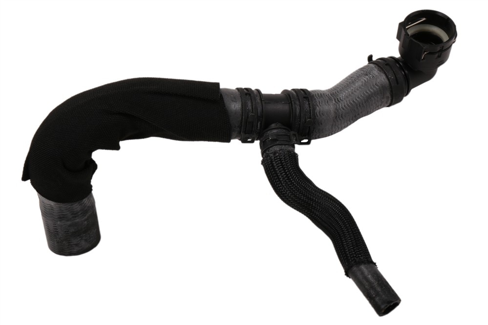 Alternate Image