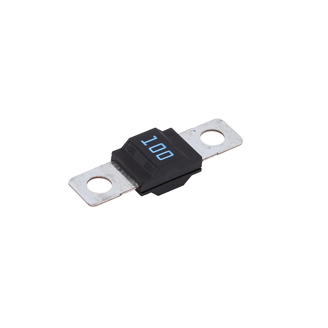 GM Genuine Parts 10 Amp Fuse