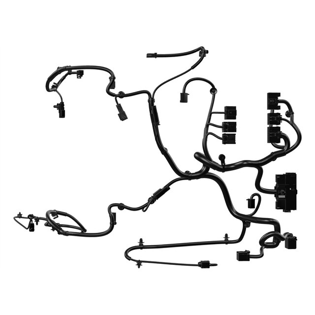 Alternate Image