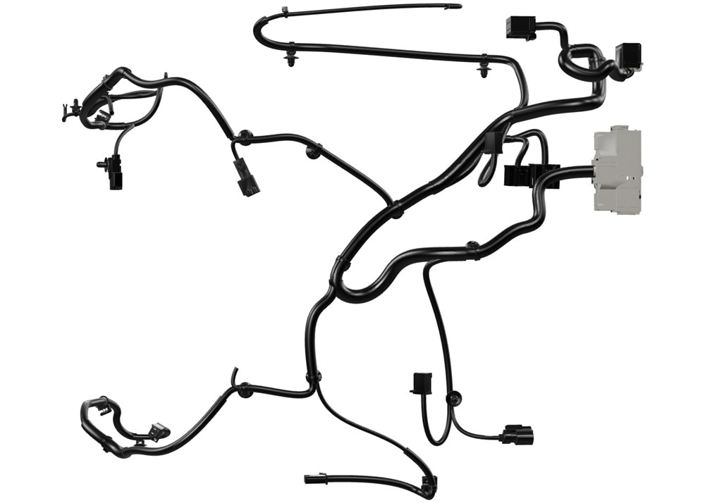 Alternate Image