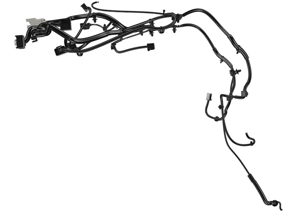 Alternate Image