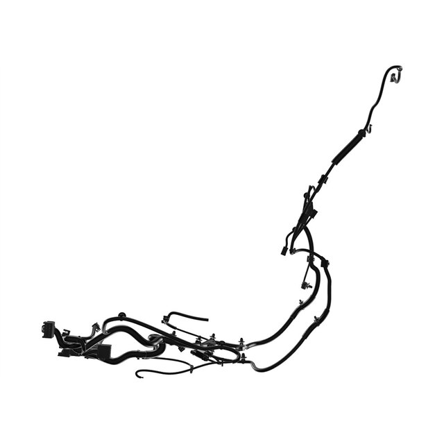 Alternate Image