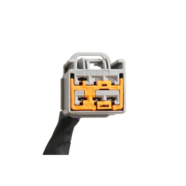 Alternate Image