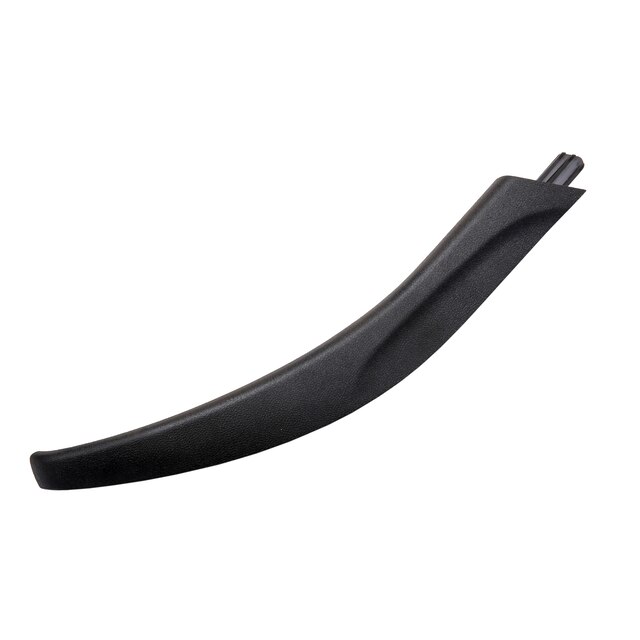 GM Genuine Parts Jet Black Rear Passenger Side Door Trim Panel Applique