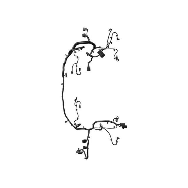 Alternate Image