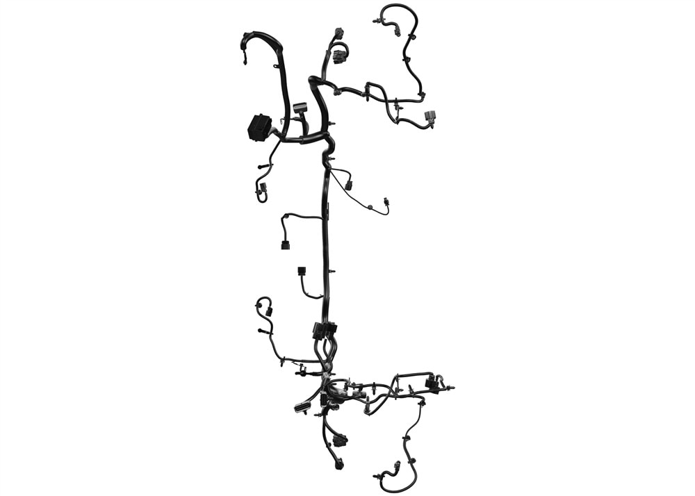 Alternate Image