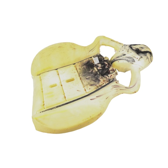 GM Genuine Parts Passenger Side Front Seat Back Pad
