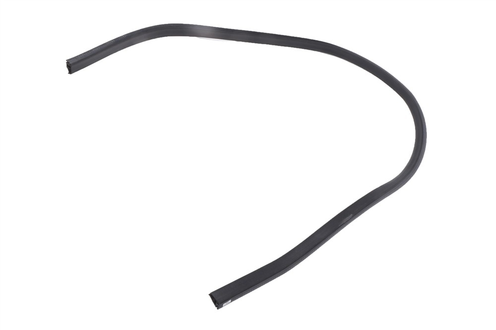 GM Genuine Parts Sunroof Window Seal