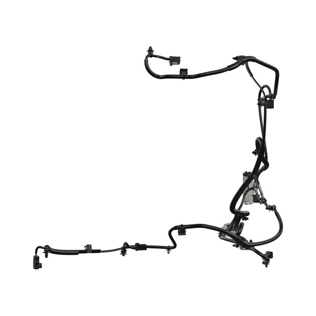 Alternate Image