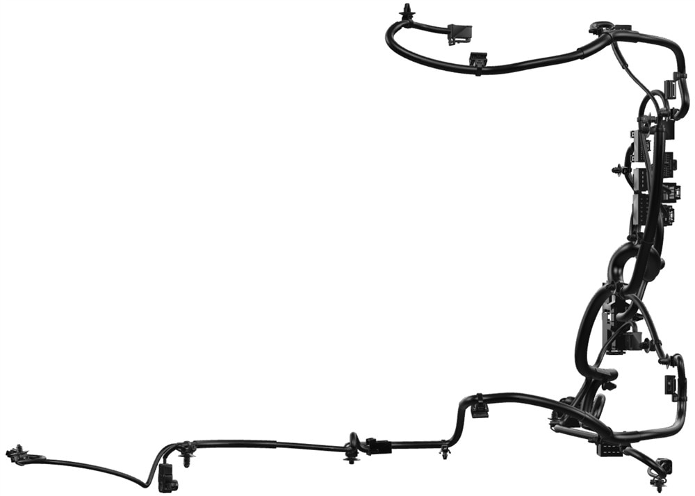 Alternate Image
