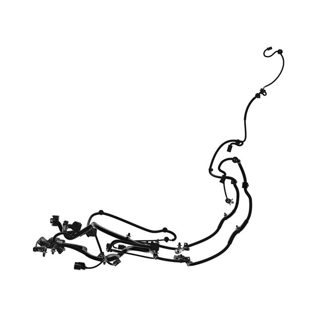 Alternate Image