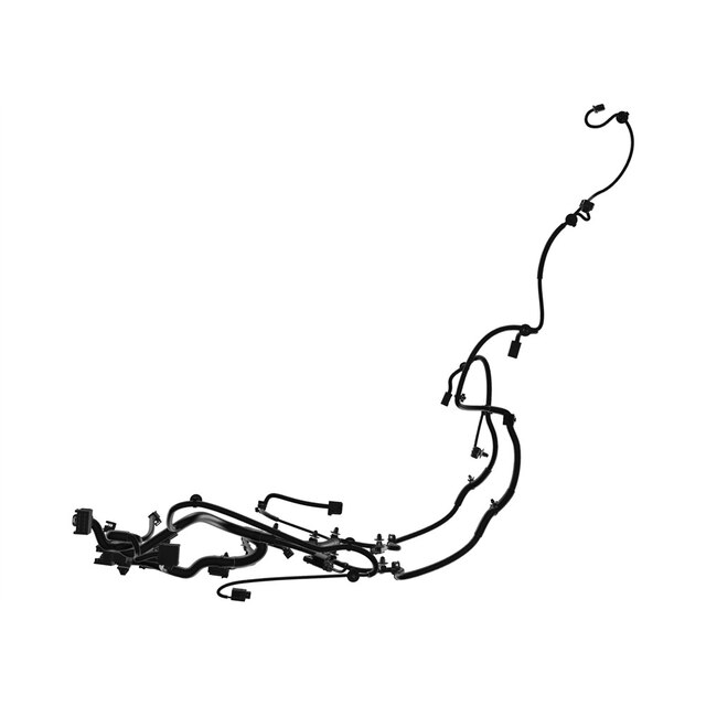 Alternate Image