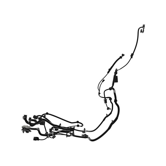 Alternate Image