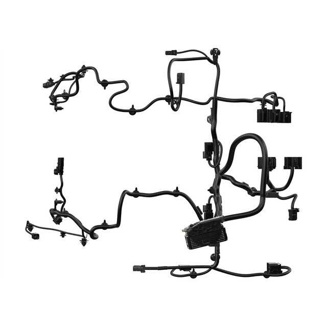 Alternate Image