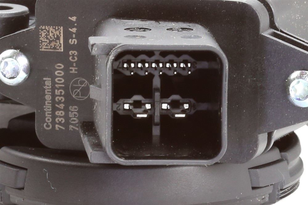 Alternate Image