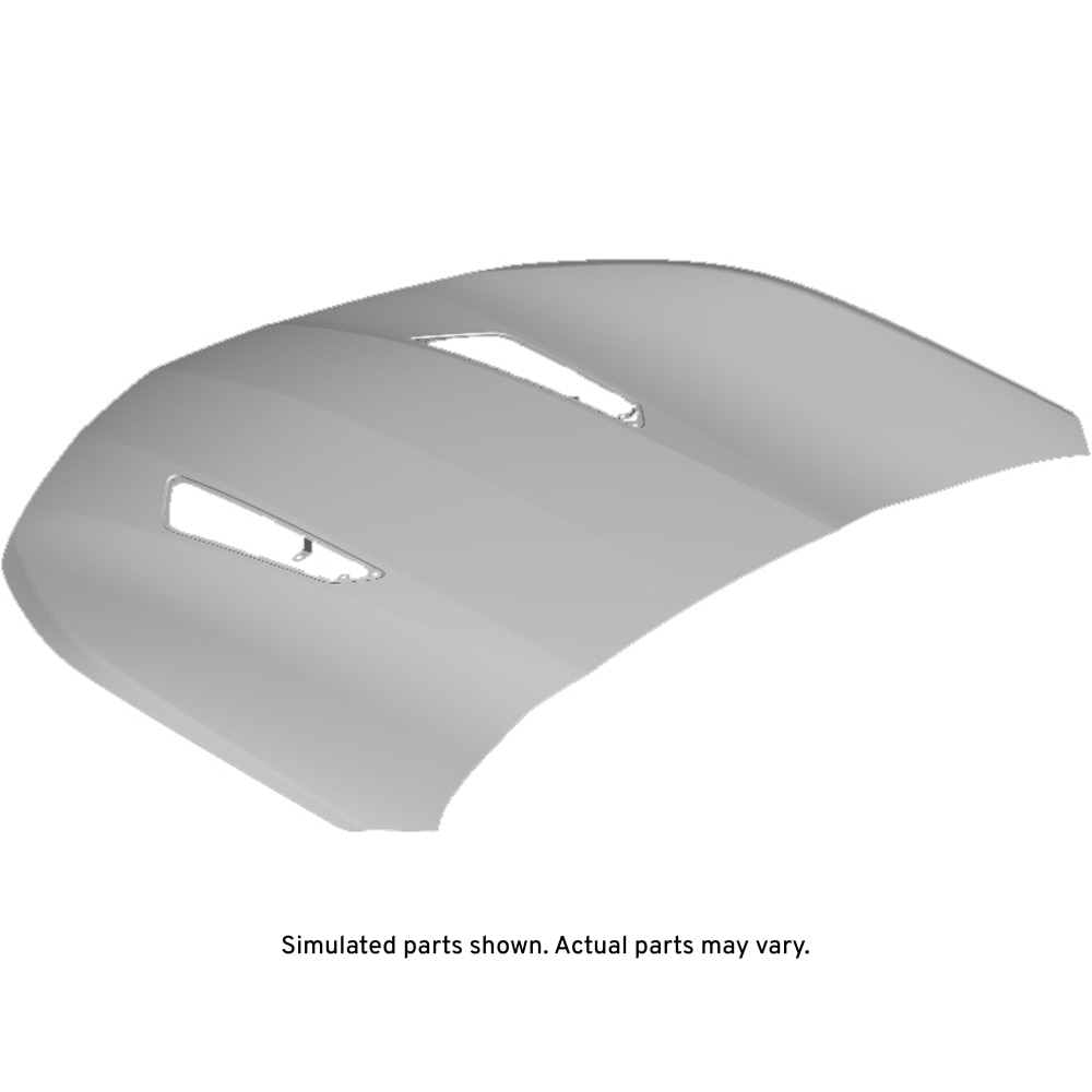 GM Genuine Parts Hood