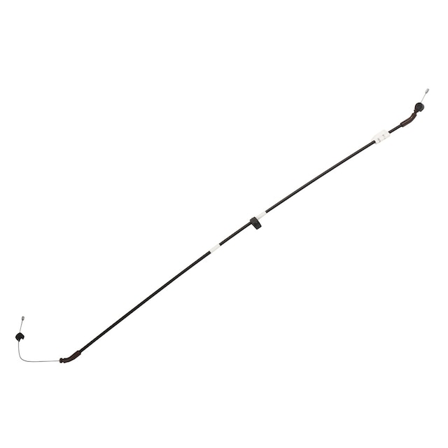 Alternate Image