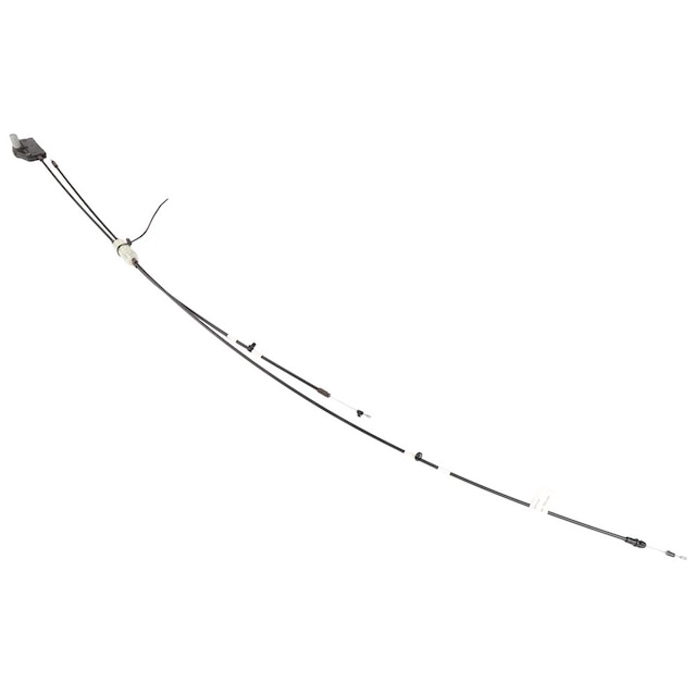 Alternate Image