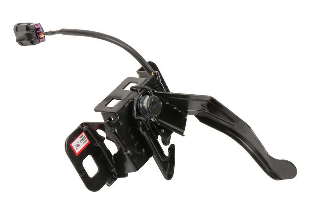 GM Genuine Parts Hood Primary and Secondary Latch | 84156187 | GM
