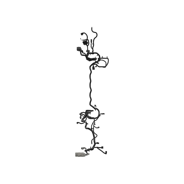 Alternate Image