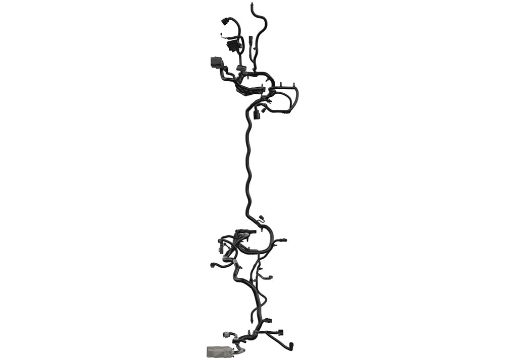 Alternate Image