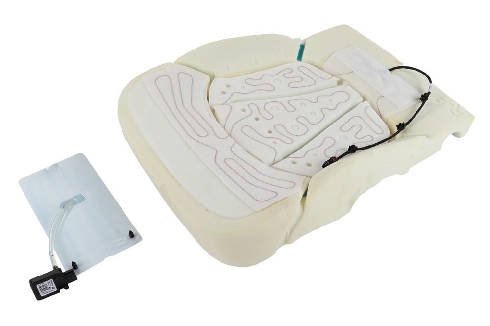 GM Genuine Parts Passenger Side Airbag Front Passenger Presence Module