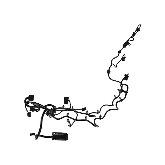 Alternate Image