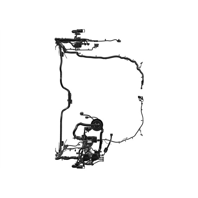 Alternate Image