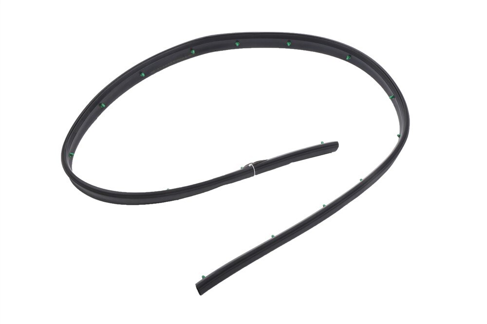 GM Genuine Parts Passenger Side Door Window Belt Weatherstrip
