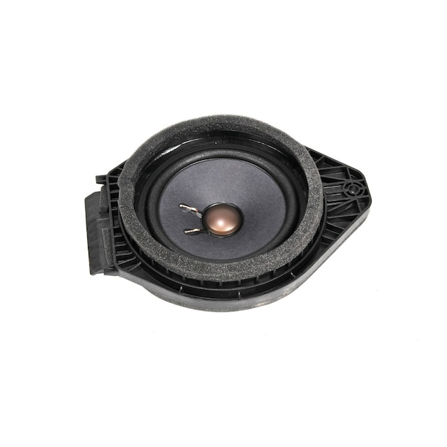 GM Genuine Parts Rear Side Door Speaker