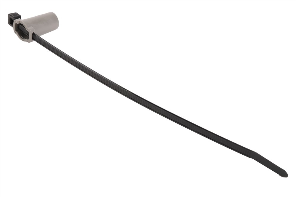 Alternate Image