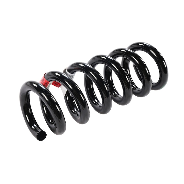 GM Genuine Parts Rear Coil Spring