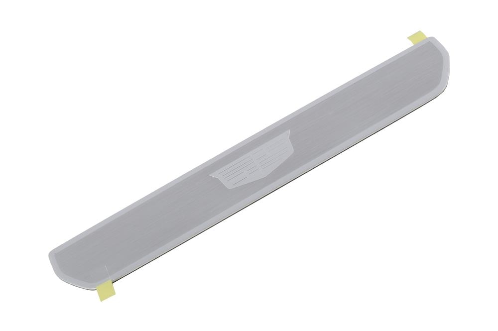 GM Genuine Parts Rear Side Door Sill Trim Plate