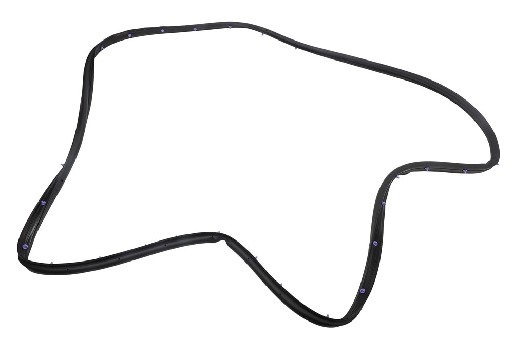 GM Genuine Parts Rear Side Door Weatherstrip