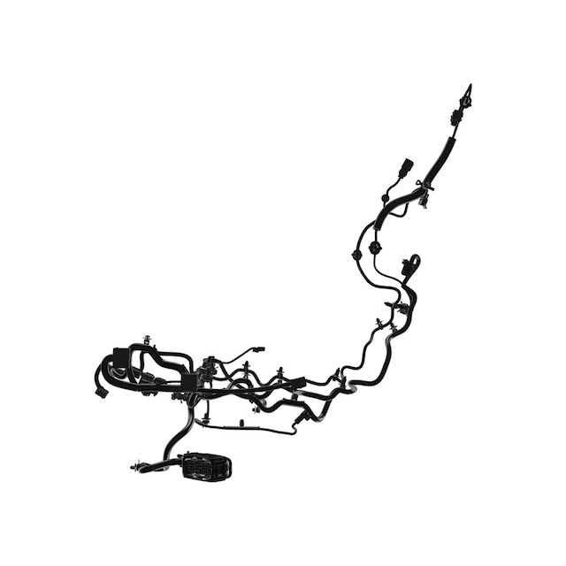 Alternate Image