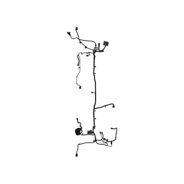 Alternate Image