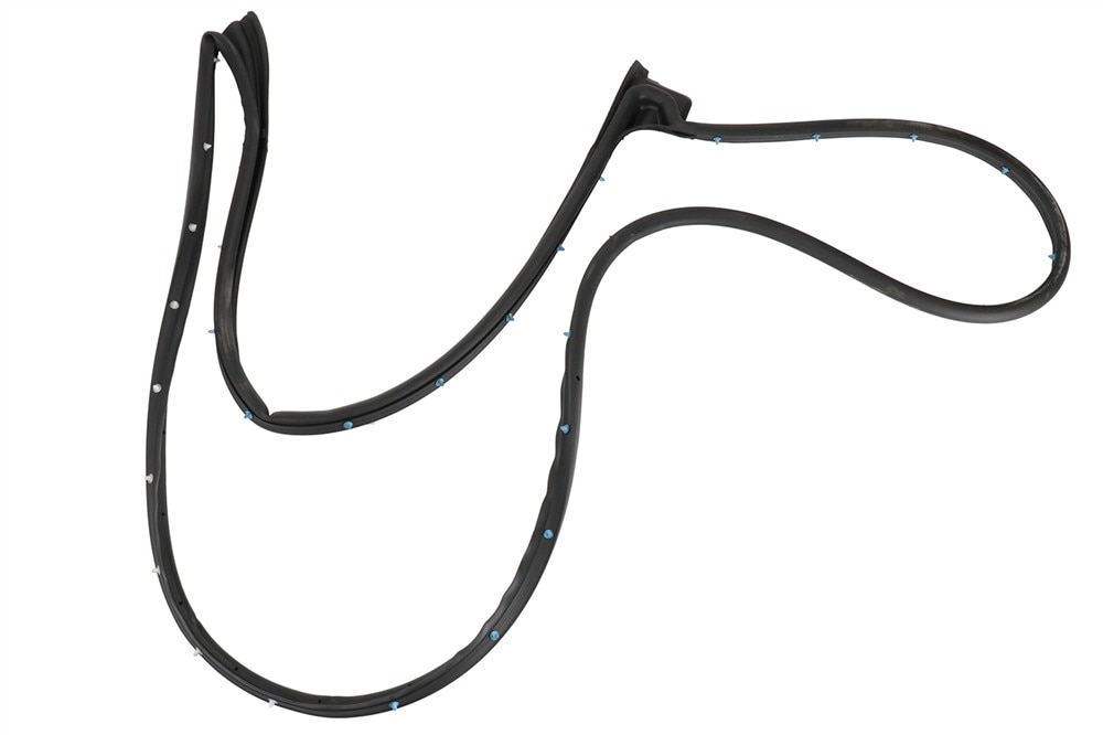 GM Genuine Parts Front Passenger Side Door Weatherstrip
