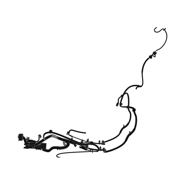 Alternate Image