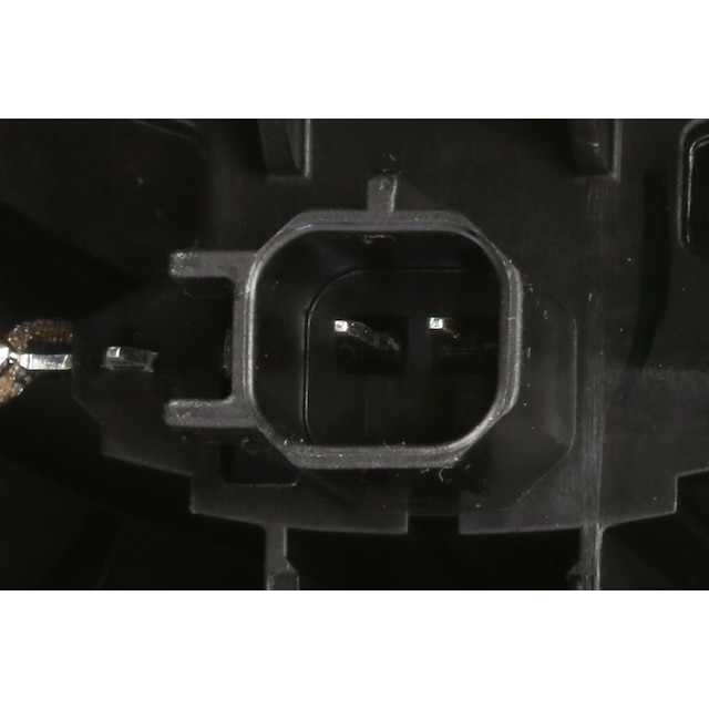 Alternate Image