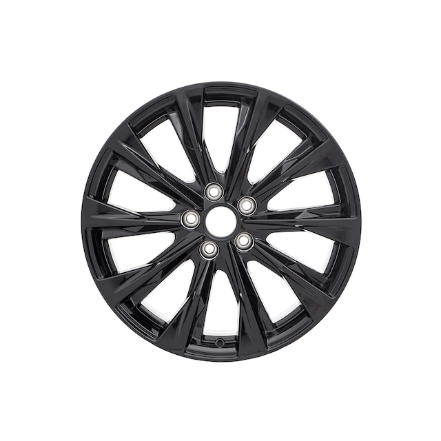 19x8-Inch 10-Spoke Wheels in Gloss Black