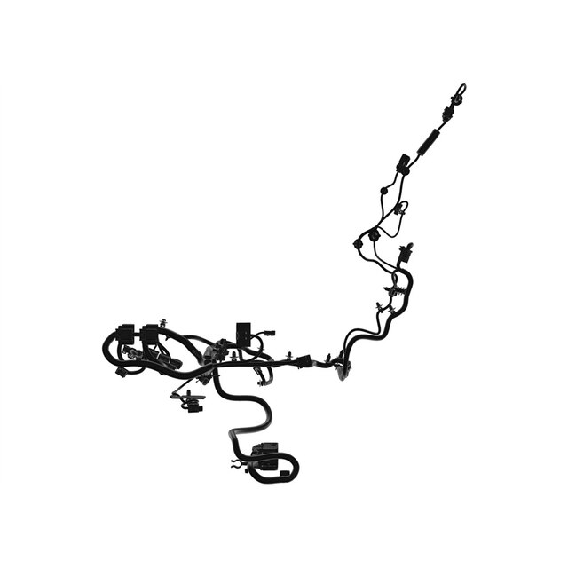 Alternate Image