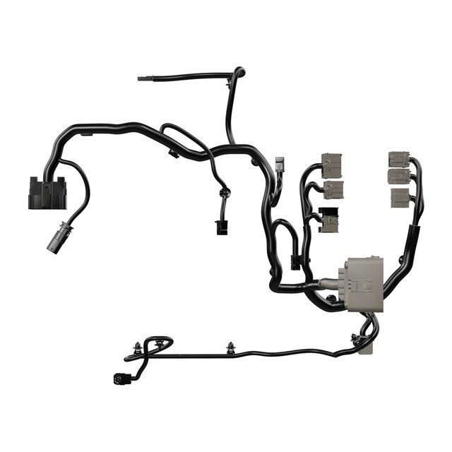 Alternate Image