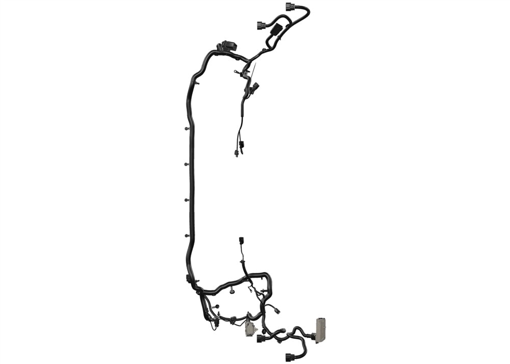 Alternate Image