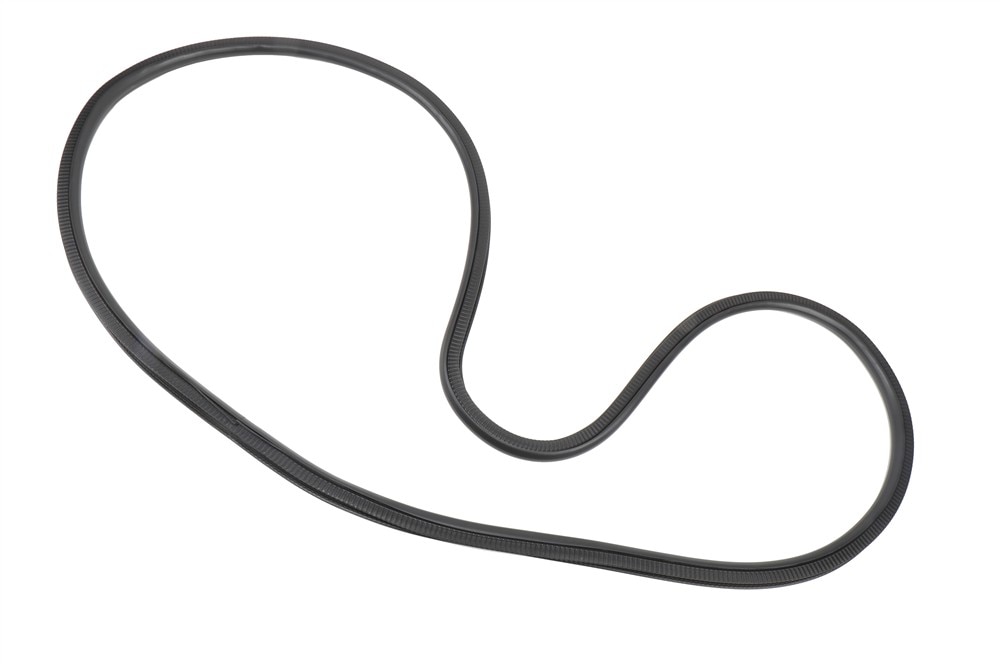 GM Genuine Parts Body Side Rear Side Door Weatherstrip